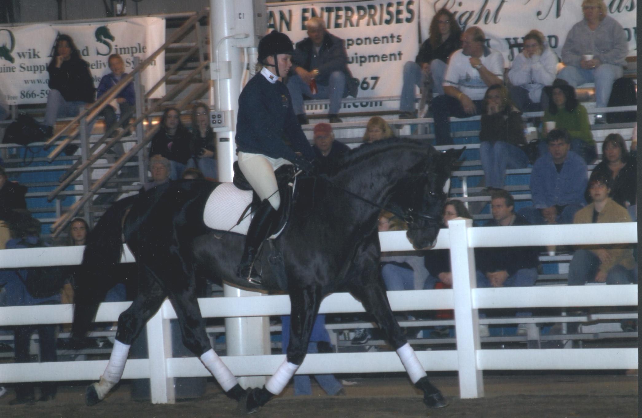 Carola and Mambo King (by Master) Breed Demonstration